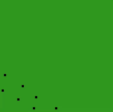 Animation de la bombe